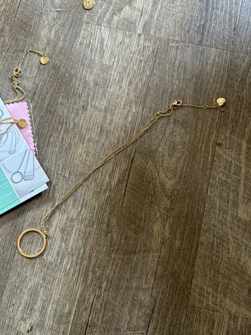 mintMONGOOSE Gold Circle Pendant Necklace